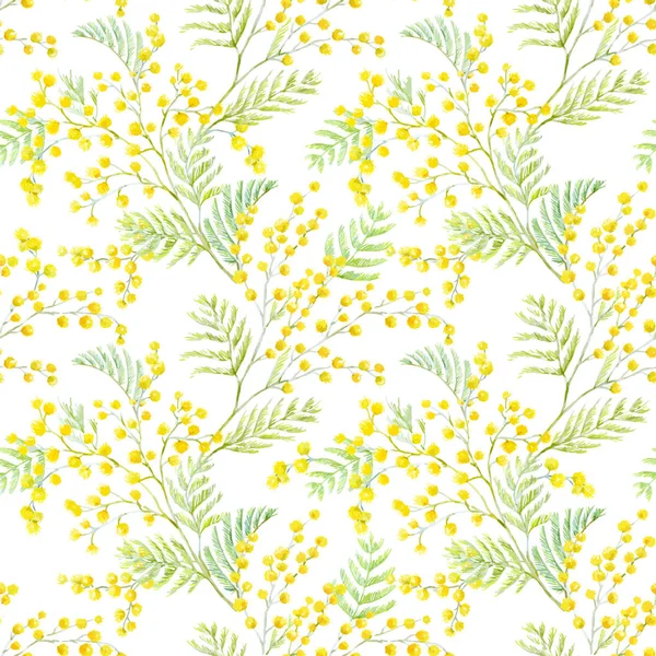 Aquarelle motif vectoriel mimosa — Image vectorielle