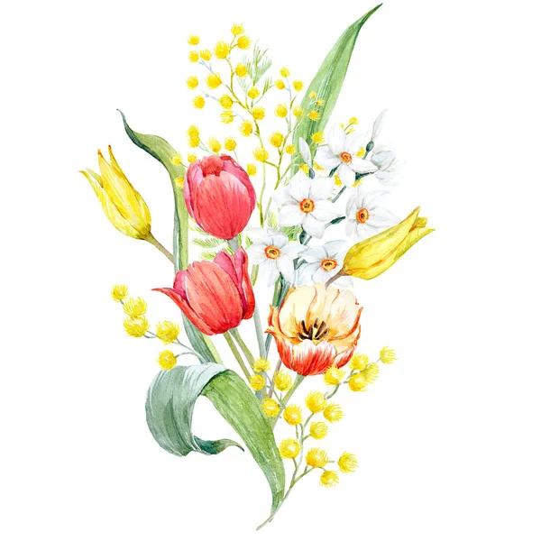 Aquarel mimosa en tulip boeket — Stockfoto