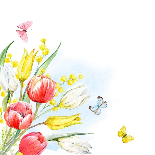 水彩的含羞草和郁金香花束 — 图库照片