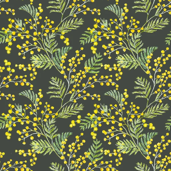 Aquarelle motif vectoriel mimosa — Image vectorielle