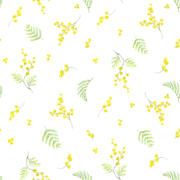 Watercolor mimosa vector pattern — Stock Vector