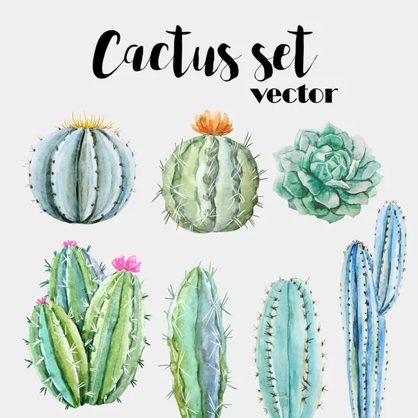 Acuarela cactus vector conjunto — Vector de stock