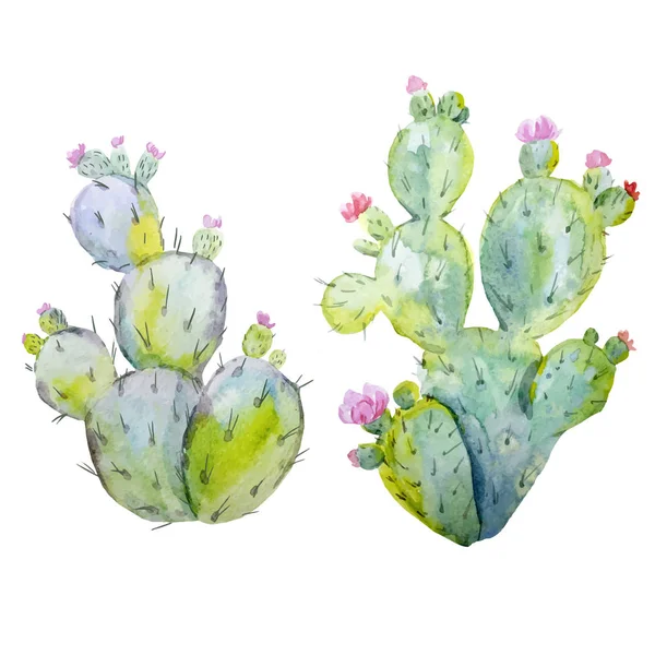 Conjunto de vetor de cacto aquarela —  Vetores de Stock