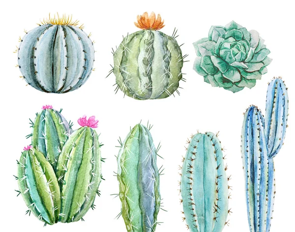 Conjunto de cactus acuarela —  Fotos de Stock