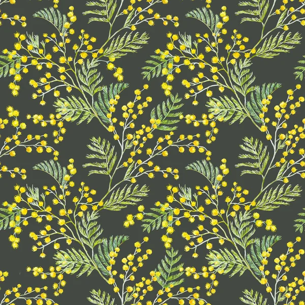 Watercolor mimosa pattern — Stock Photo, Image