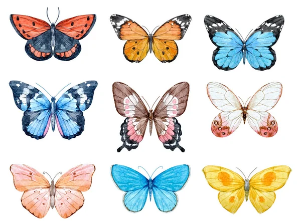Aquarell-Schmetterlinge gesetzt — Stockfoto