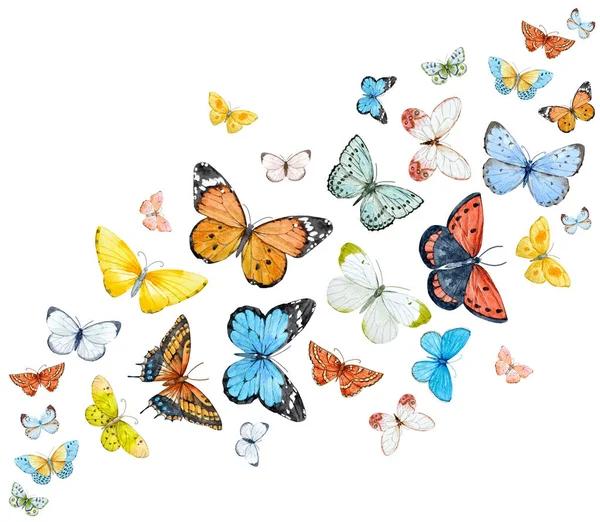 Conjunto de mariposas acuarela —  Fotos de Stock