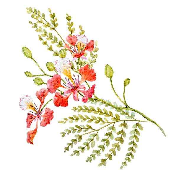 Ακουαρέλα floral σύνθεσή — Φωτογραφία Αρχείου