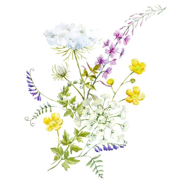 Acuarela composición floral — Foto de Stock
