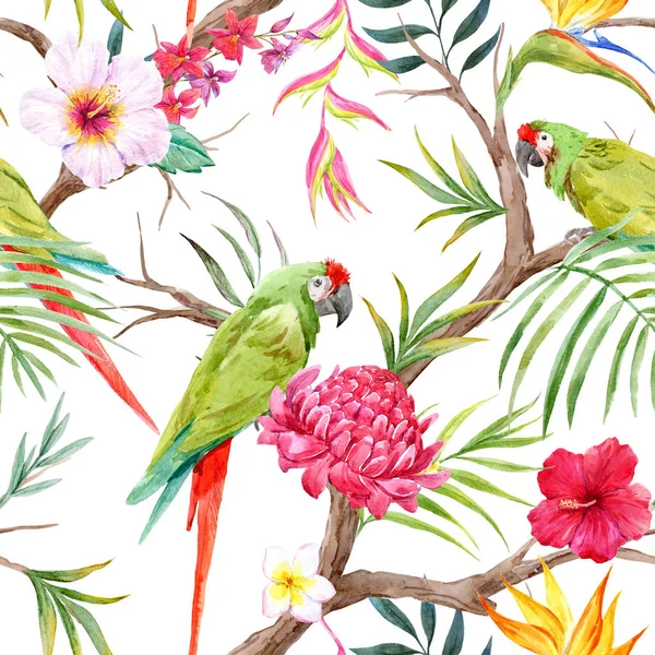 Akvarel tropických květinovým vzorem — Stock fotografie