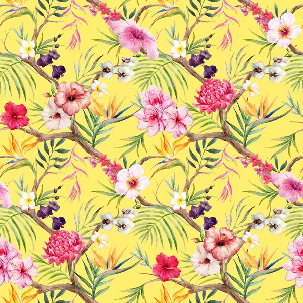 Aquarelle motif floral tropical — Photo