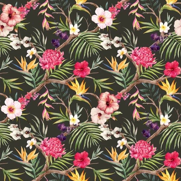 水彩矢量热带花卉图案 — 图库矢量图片