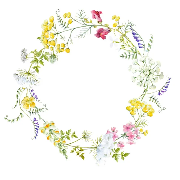 Watercolor floral wreath — Stock Photo, Image