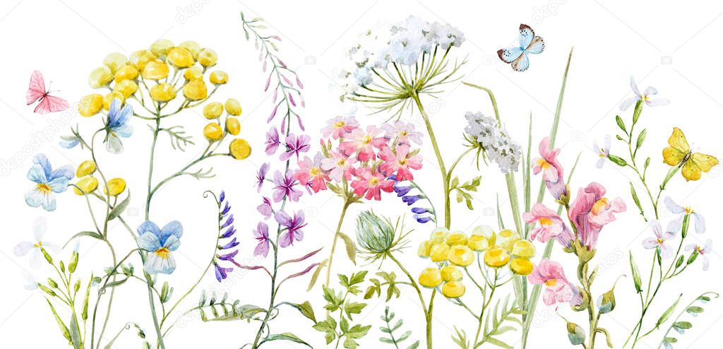 Watercolor wild flowers