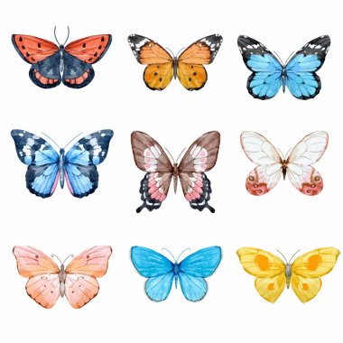 Suluboya kelebekler vektör set