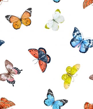 Suluboya kelebek vektör desen