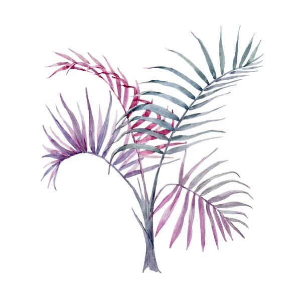 Watercolor hand drawn palms — Stock Photo, Image