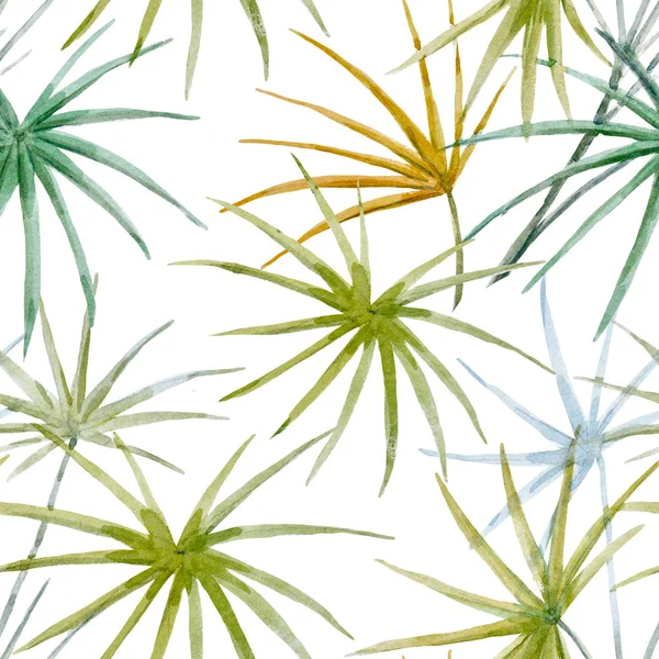水彩トロピカル花柄 — ストック写真
