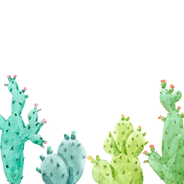 Ensemble de cactus aquarelle — Photo