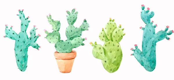 Akvarell kaktusz készlet — Stock Fotó