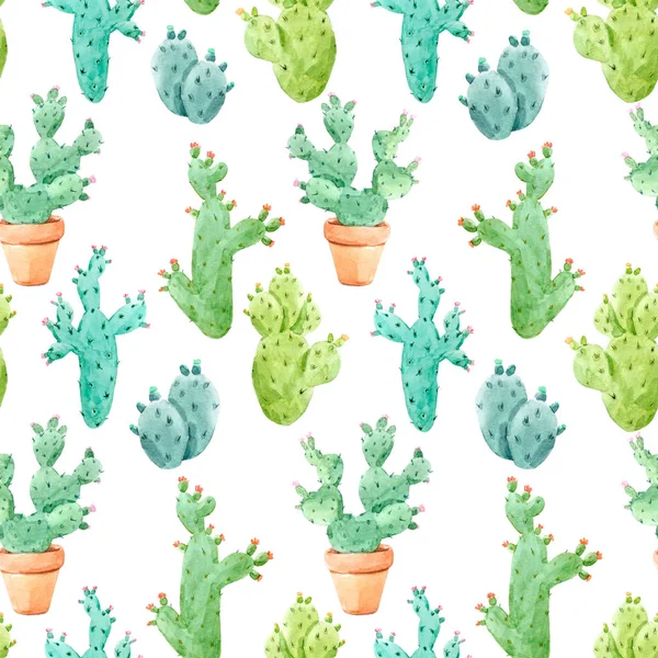 Akvarell cactus mönster — Stockfoto