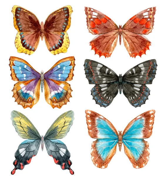 Zestaw motyli akwarelowych — Zdjęcie stockowe