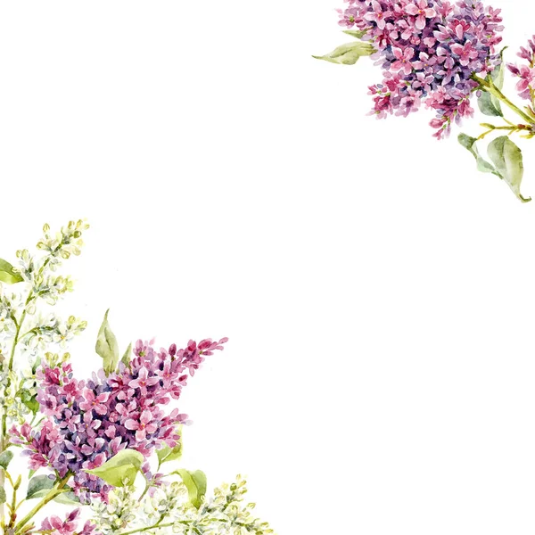 Acquerello cornice floreale lilla — Foto Stock