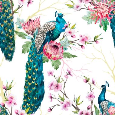 Suluboya tavuskuşu vektör desen