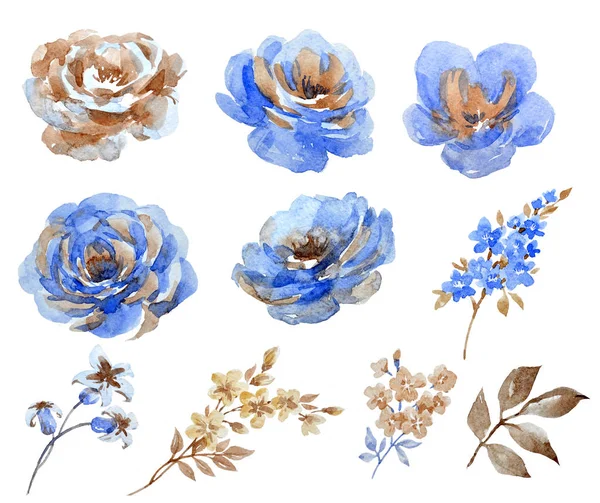 Conjunto floral abstrato — Fotografia de Stock