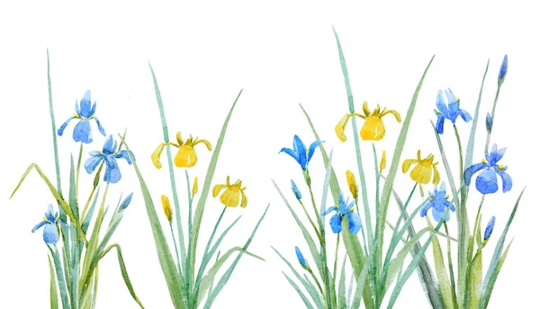 Ακουαρέλα ίριδες λουλούδια σύνθεση — Φωτογραφία Αρχείου