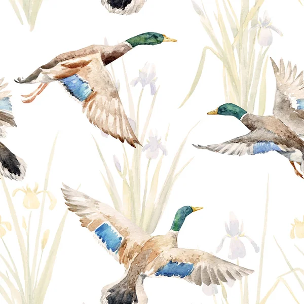 Watercolor pattern with ducks — Stock Photo, Image
