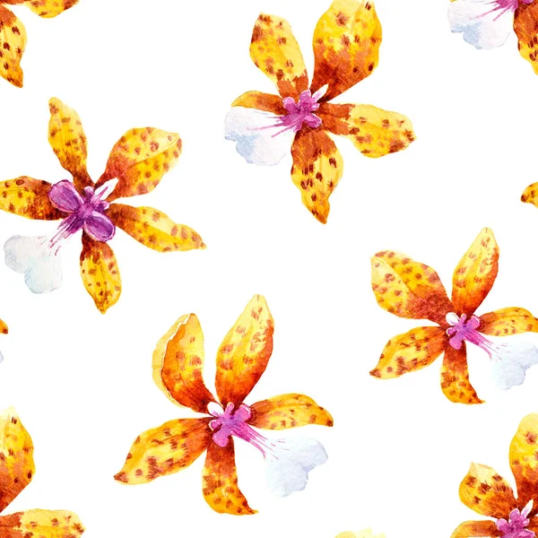 Acuarela orquídea flores patrón tropical — Foto de Stock