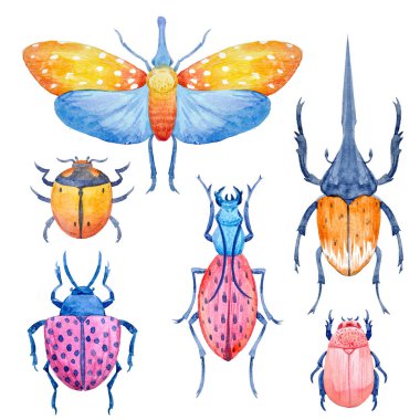 Suluboya böceği seti