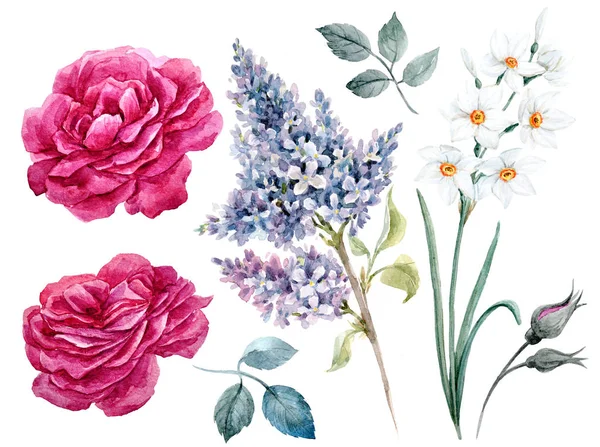 Aquarel bloemen set — Stockfoto