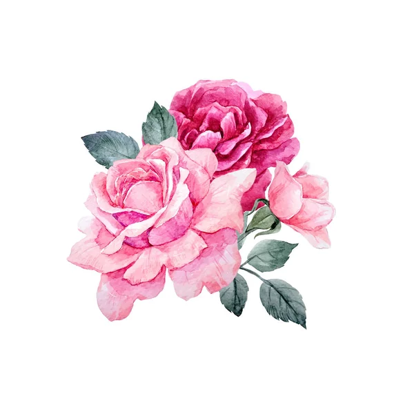 Watercolor vector roses composition — Stock Vector