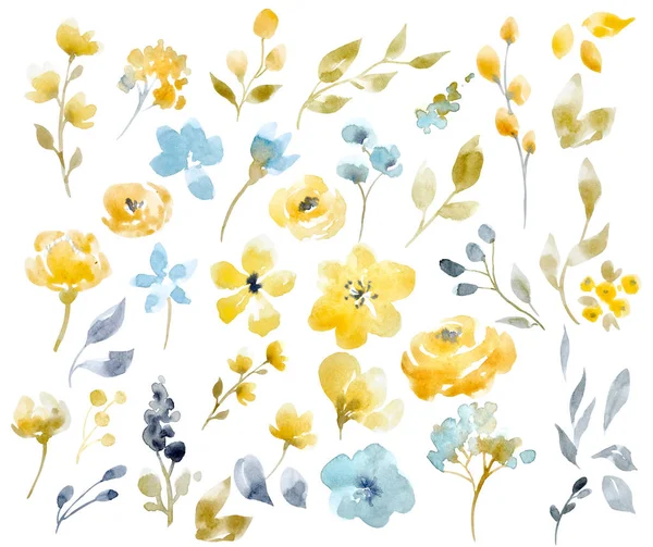 Watercolor floral set — Stock Photo, Image