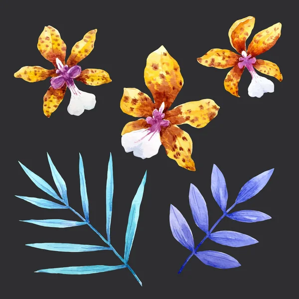 Aquarel orchidee bloemen set — Stockvector