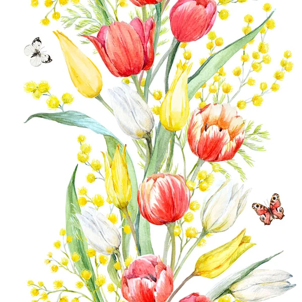 Acquerello modello mimosa e tulipano — Foto Stock