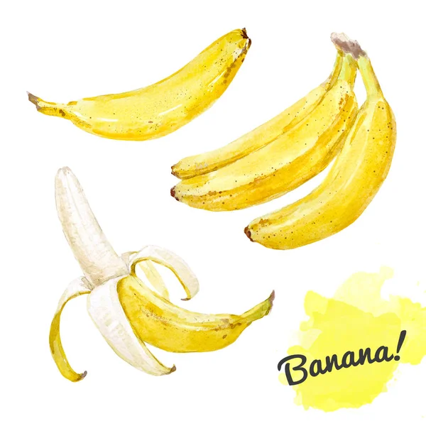 Conjunto de plátanos acuarela — Foto de Stock