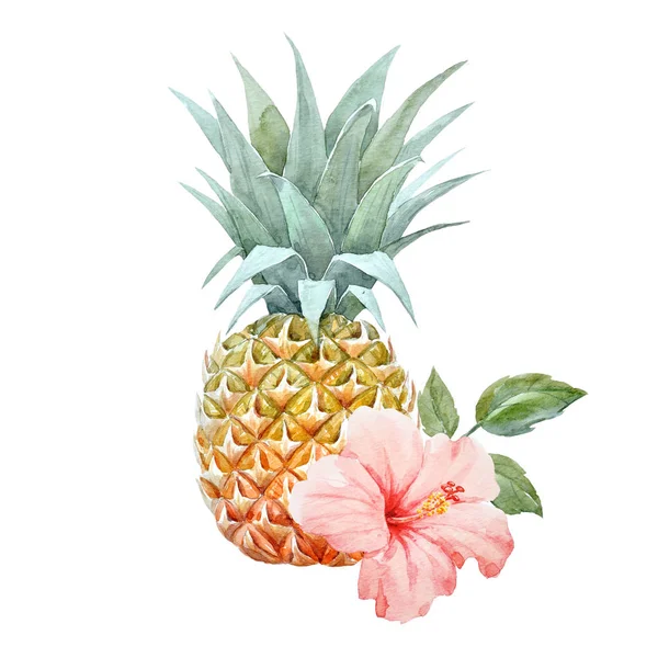 Akvarelu ananas ovoce — Stock fotografie