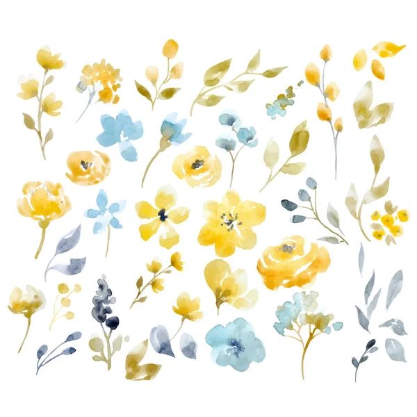Watercolor floral vector set — Stock Vector