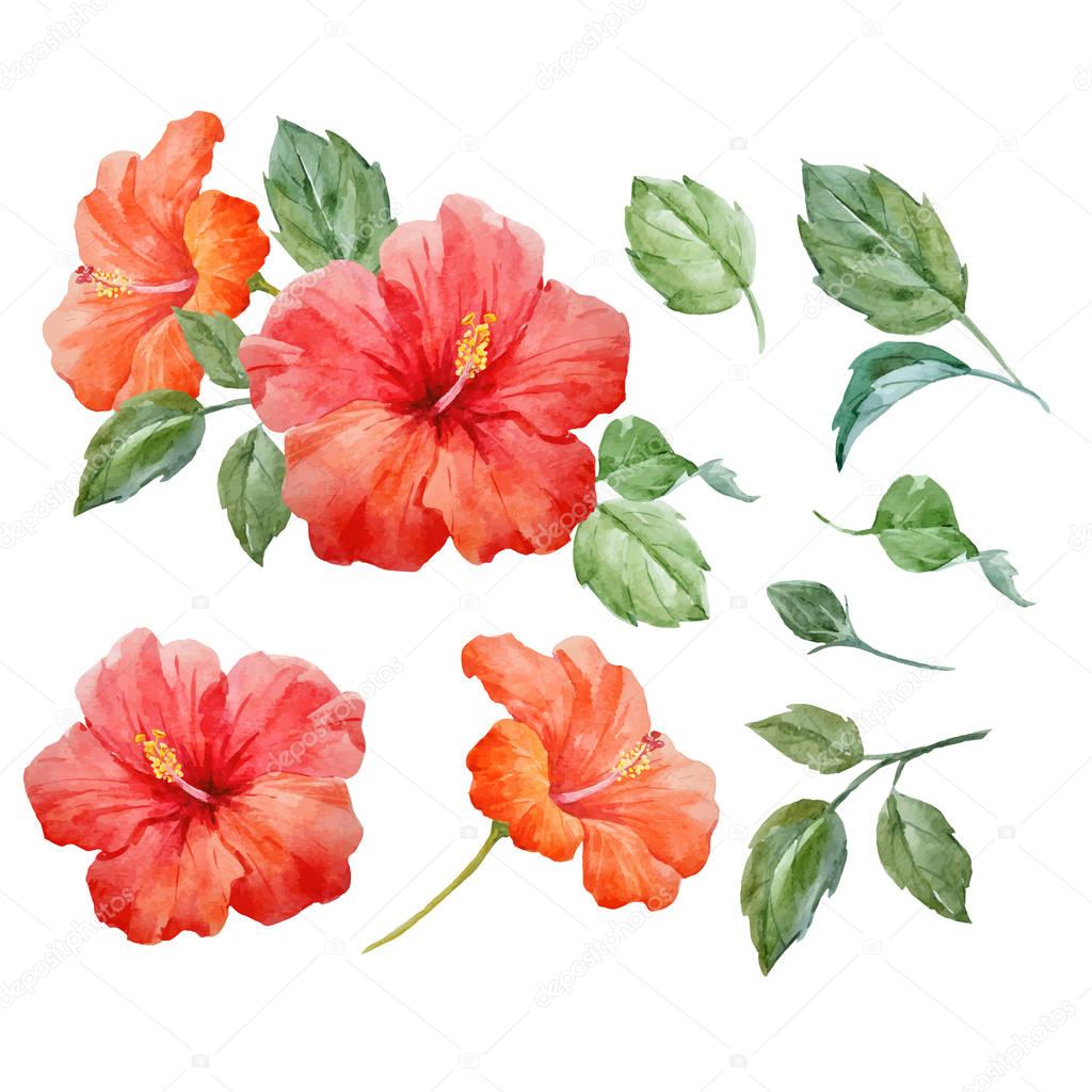Download Watercolor vector tropical hibiscus flower — Stock Vector ...
