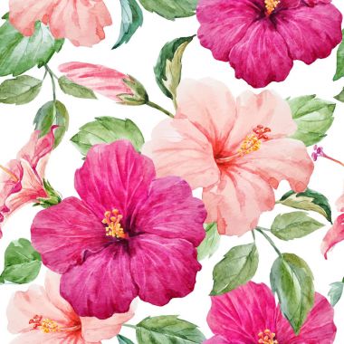 Suluboya tropikal hibiscus vektör desen
