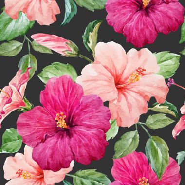 Suluboya tropikal hibiscus vektör desen