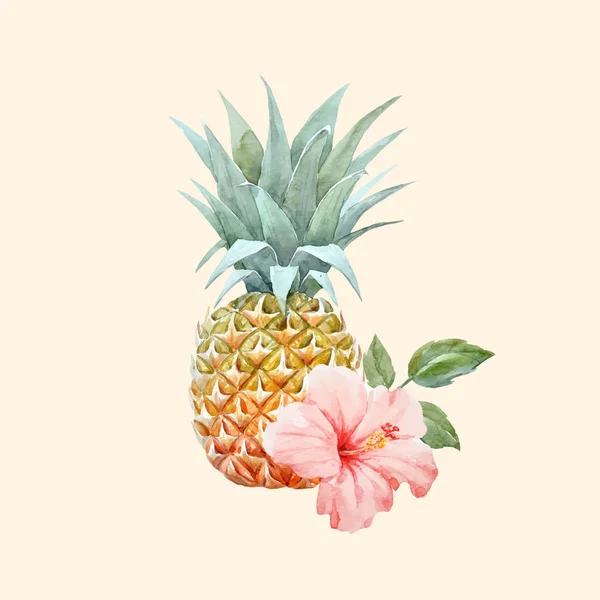 Aquarelle vecteur ananas fruit — Image vectorielle