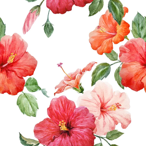 Watercolor tropical hibiscus pattern — Stock Photo, Image