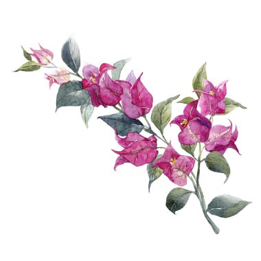 Suluboya çiçek şube