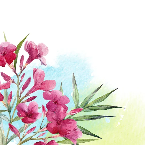 Suluboya çiçek kompozisyon