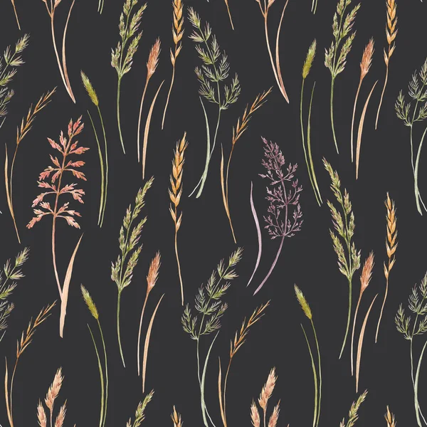 Wild field grass pattern — Stock Photo, Image