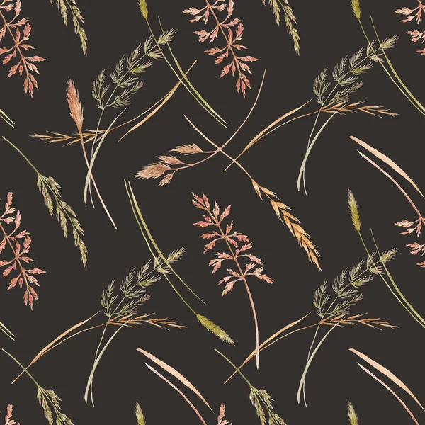Wild field grass pattern — Stock Photo, Image